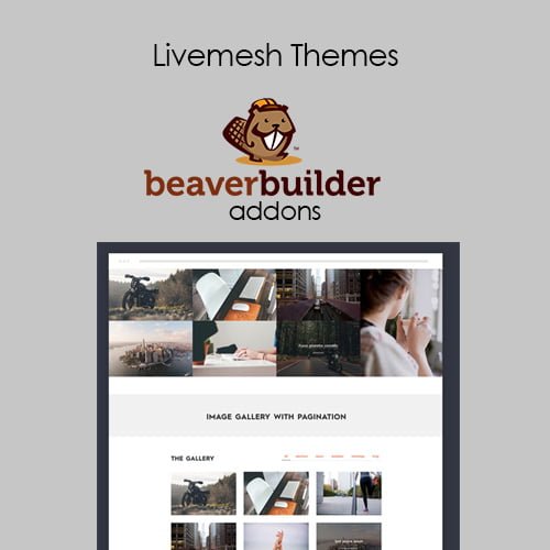 Livemesh-Addons-for-Beaver-Builder.jpg Livemesh Addons for Beaver Builder - Image 1